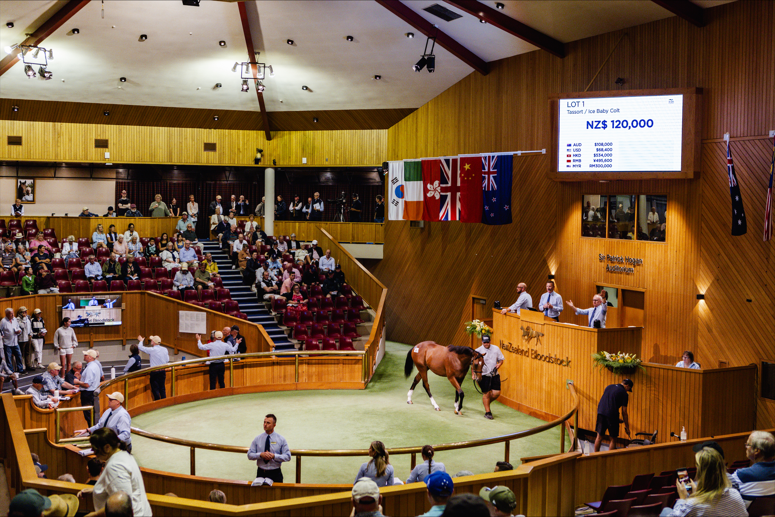 The Karaka Experience | New Zealand Bloodstock | Thoroughbred Auction House