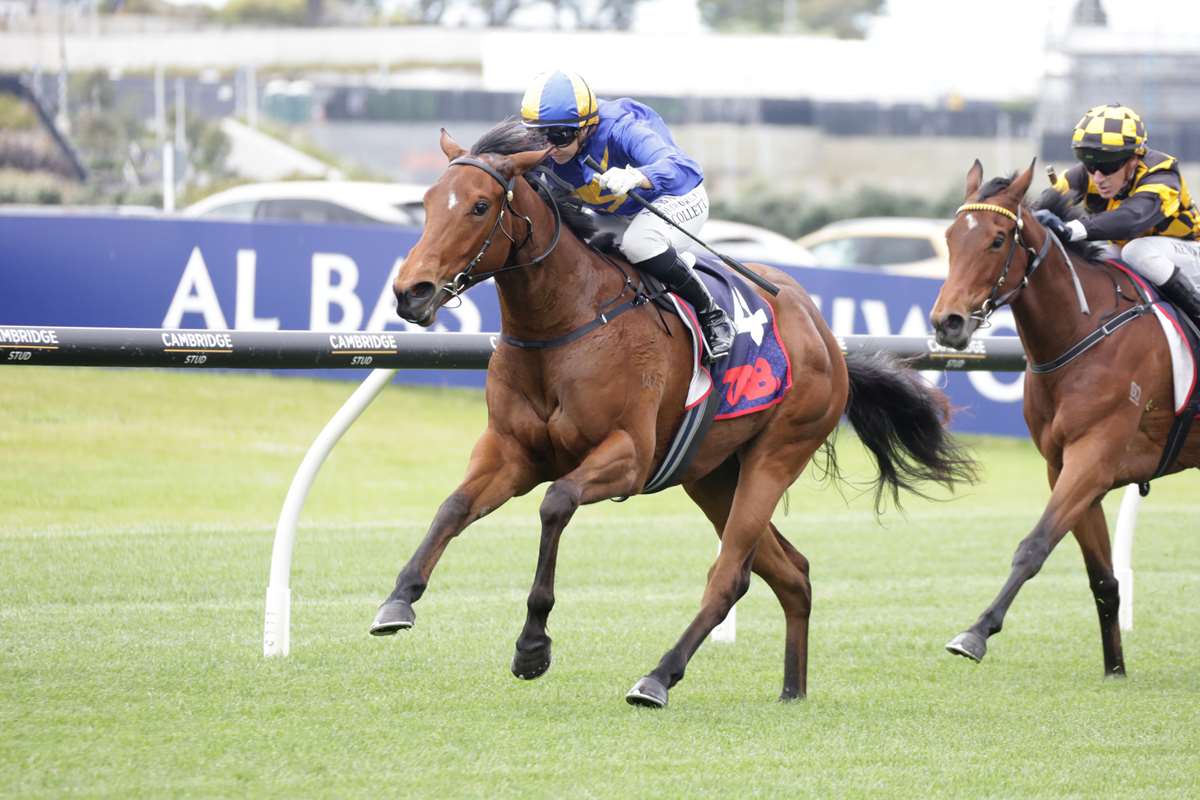 Standardbred Racing Gate Aquila Veloce Puts McKay Back in Karaka Millions 2YO Spotlight | NZB ...