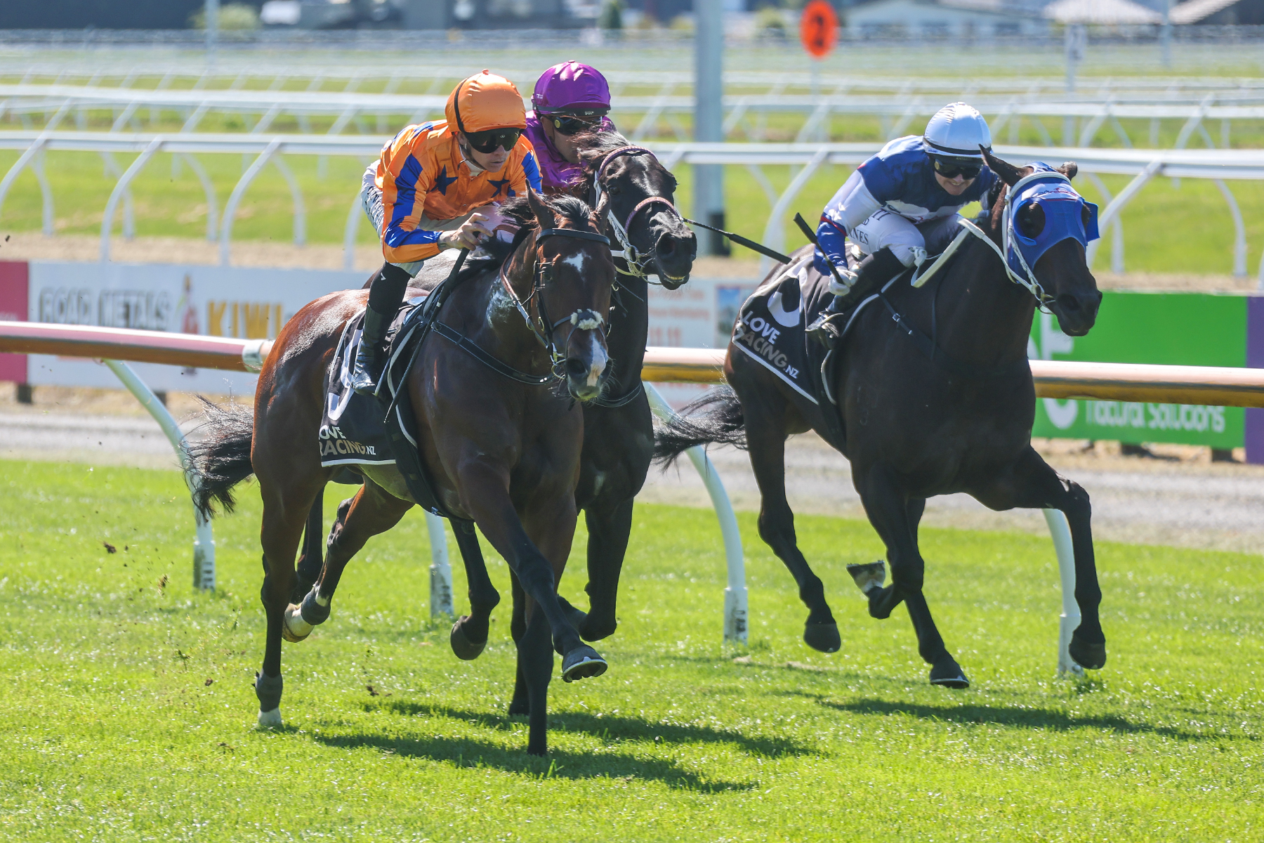 Sword Of Stars (NZ) Strikes in War Decree | NZB | Thoroughbred Auction ...